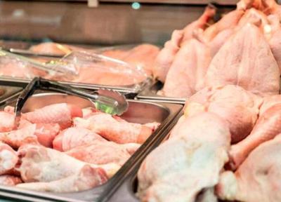 جدیدترین قیمت مرغ و ماهی در بازار و میادین ، قیمت هر کیلو مرغ و ماهی قزل آلا