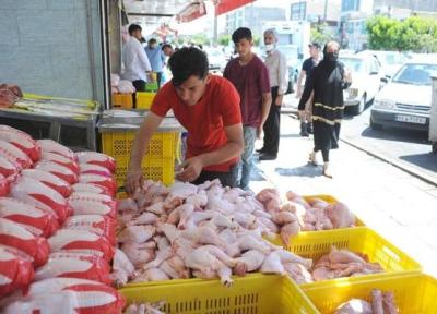 برخورد قانونی با مرغدارانی که مرغ خود را کشتار نکنند