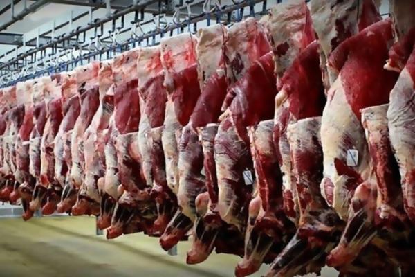 جدیدترین قیمت گوشت گوسفندی در بازار ، هر کیلو دام سبک زنده چند شد؟